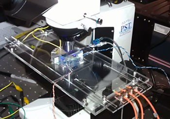 A device like this one has been developed in the Photon Factory to sort sperm by sex for the dairy industry.